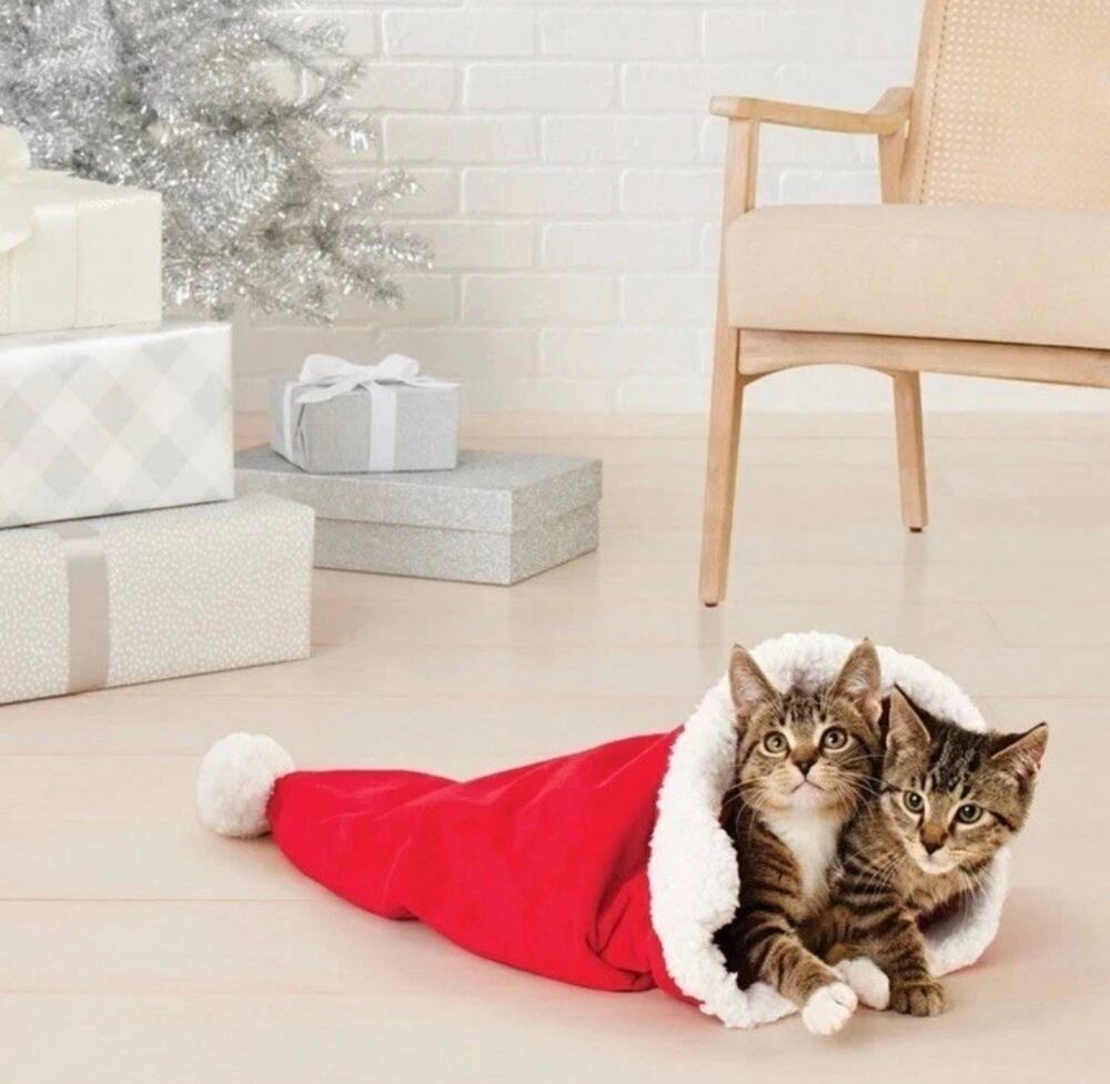 Wondershop Crinkle Cat Tunnel Large Santa Hat Bag Plush Toy Christmas 23” x 15”